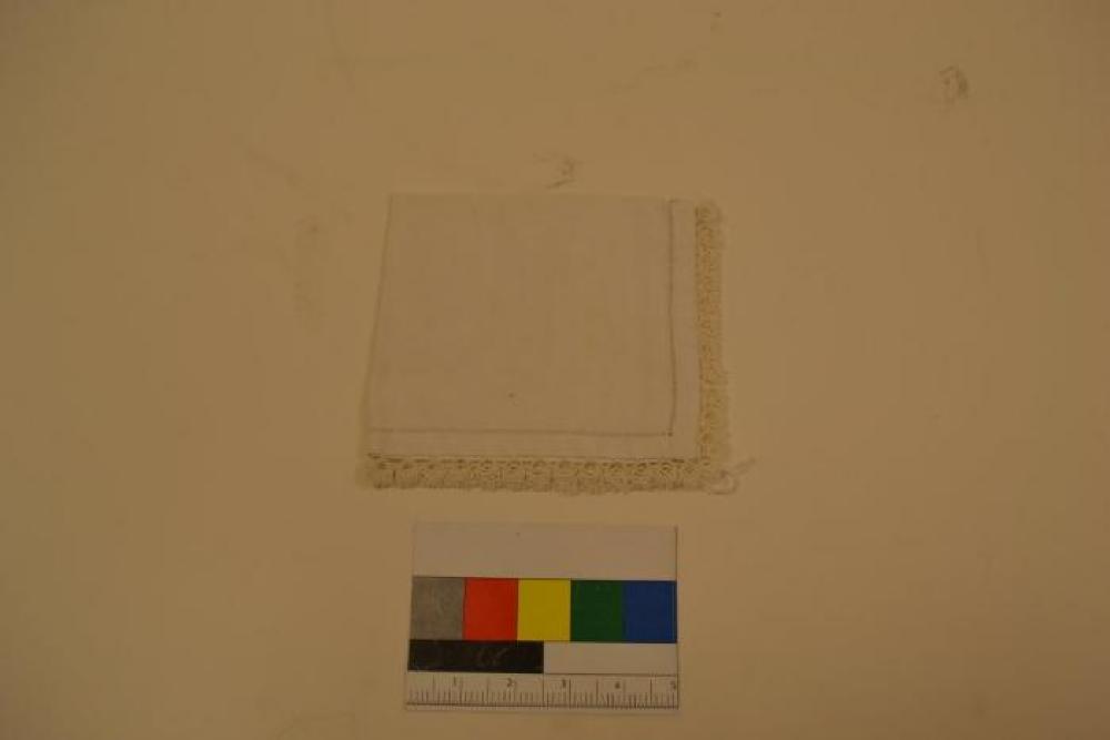 Napkin