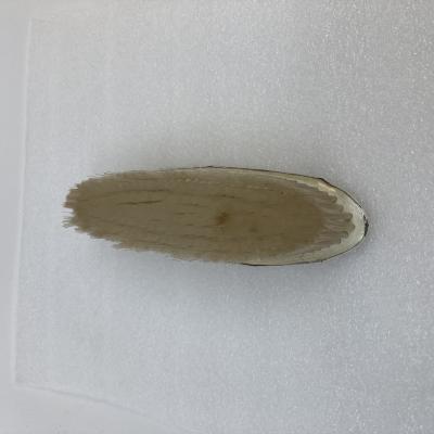 Brush