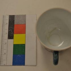 Cup